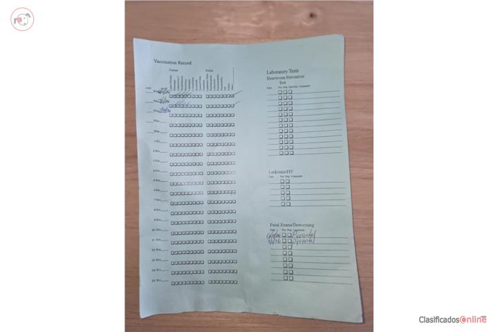 Photo 2