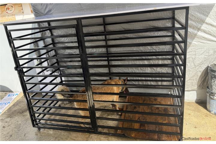 Venta de Jaula 1X1 perros Puerto Rico