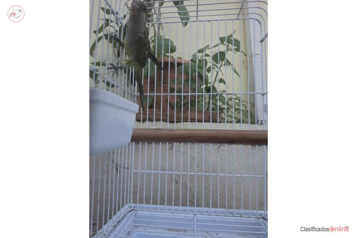 Quaker  Puerto Rico