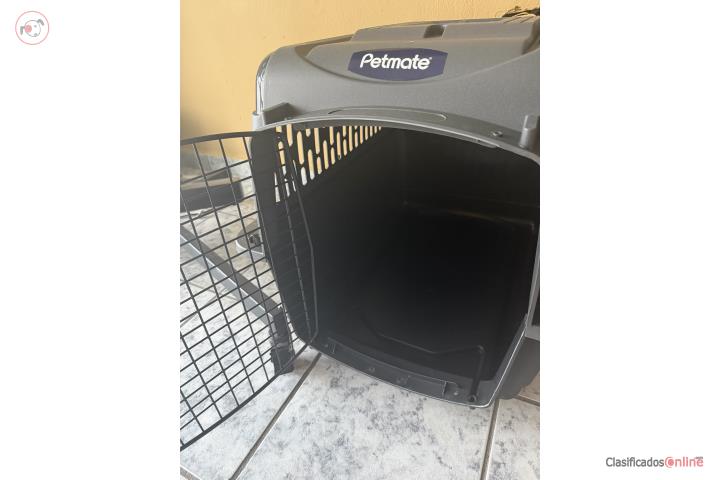 Cage  Puerto Rico
