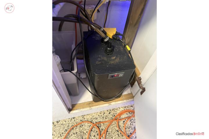 Chiller hasta 55g Puerto Rico