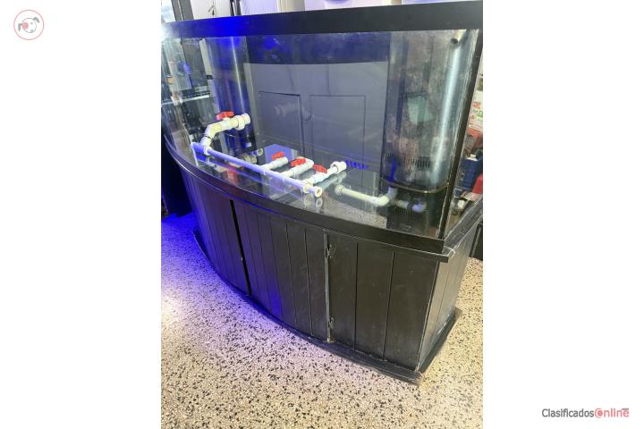 155g Bowfront con su mueble y sump corriendo  Puerto Rico