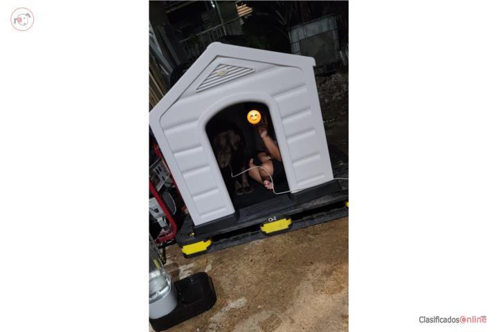 Casa para Perros Puerto Rico