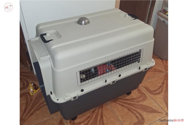 Kener grande perro grande 39  pulgada $200 Puerto Rico