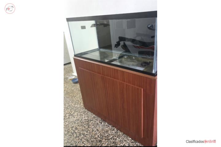 Pecera 75 galones Puerto Rico