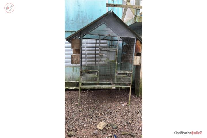 Sv jaula para aves Puerto Rico