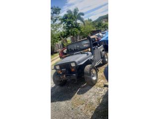 Jeep Puerto Rico Jeep.wrangler 4 cil 4x4 1995 std