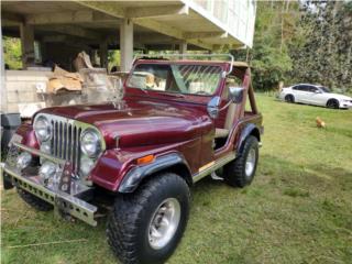 Jeep Puerto Rico 1979 jeep CJ5 v8 $10000