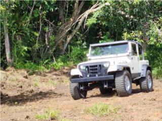 Jeep Puerto Rico Jeep wrangler 87 automtico. 4 X 4