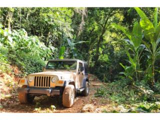 Jeep Puerto Rico 1999 Jeep Wrangler TJ 4.0 6 Cyl