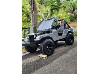 Jeep Puerto Rico Jeep cj5 1972 $12,000 o q hay