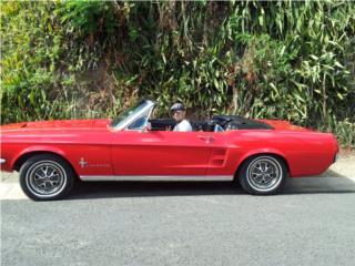 Ford Puerto Rico FORD MUSTANG CONVERTIBLE CLASICO