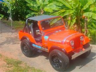 Jeep Puerto Rico JEEP cj5 motor 350 automatico