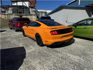 Ford Puerto Rico ford mustang 
