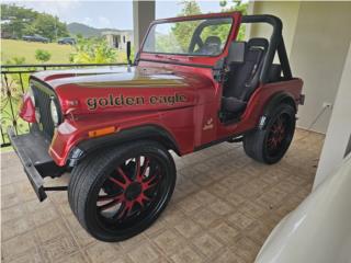 Jeep Puerto Rico jeep cj5 1977 $10900