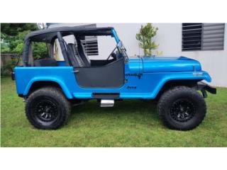 Jeep Puerto Rico Jeep Wrangler 6 cil. 1993