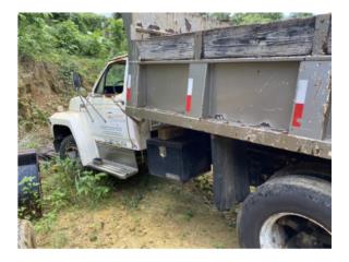 Ford Puerto Rico Camion de tumba F6 de gasolina