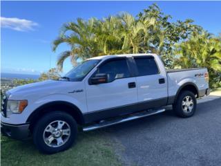Ford Puerto Rico Ford150 2009
