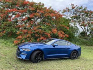 Ford Puerto Rico Mustang 2018