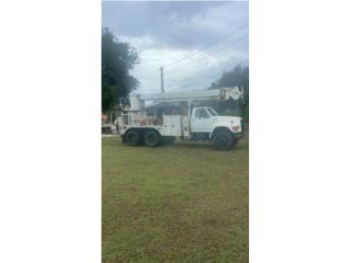 Ford Puerto Rico Ford F-Series 1999 Camin Barrena$35,000