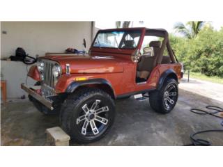 Jeep Puerto Rico Renegado