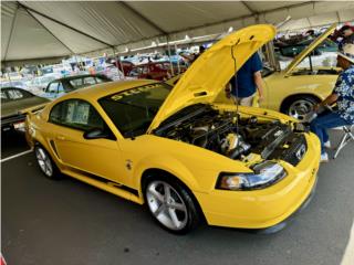 Ford Puerto Rico Mustang Steeda 