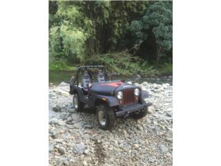 Jeep Puerto Rico JEEP CJ5 1964 