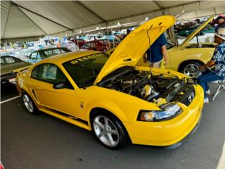 Ford Puerto Rico Mustang steeda