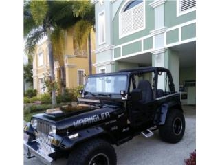 Jeep Puerto Rico Wrangler 91