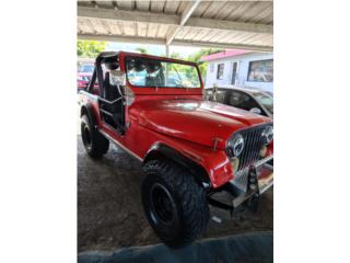 Jeep Puerto Rico 1979 JEEP CJ7 V8 304 AMC