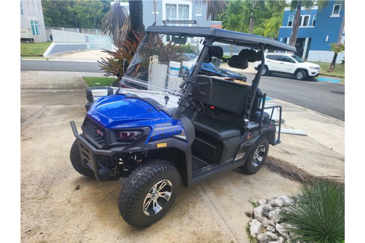 Nuevo carrito de pasajeros o de carga 250cc