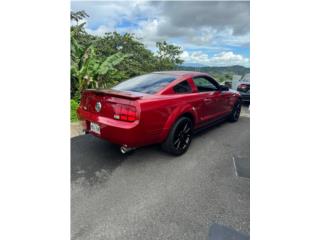 Ford Puerto Rico Mustang 2008