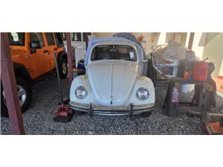 Volkswagen Puerto Rico 1968 Vw Beetle