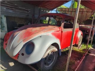 Volkswagen Puerto Rico Volkswagen Bug