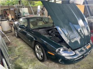Jaguar Puerto Rico Jaguar 2000