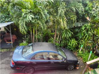 Mazda Puerto Rico Vehiculo 1996