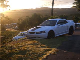 Ford Puerto Rico Mustang gt 2000