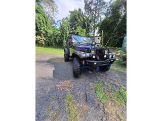 Jeep Puerto Rico Jeep Wangler 1988