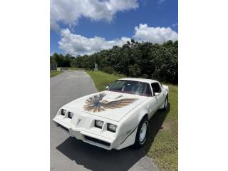 Transam 1980, Pontiac Puerto Rico