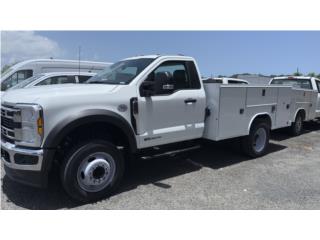 Ford Puerto Rico FORD F-550 SERVICE BODY