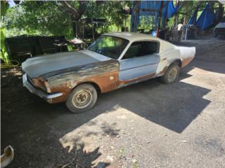 Ford Puerto Rico Mustang fastback 1966