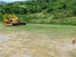 Equipo Construccion Puerto Rico D4D CATERPILLAR 