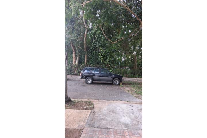 Listing 12934830