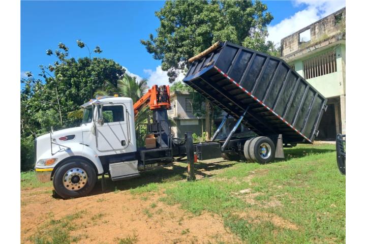 Camión Peterbilt 2014 Ganchera