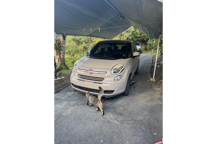 Fiat 500 del 2014