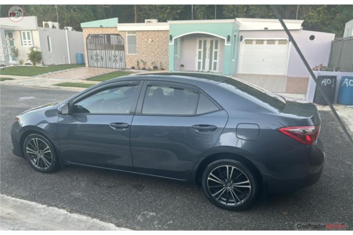 Corolla