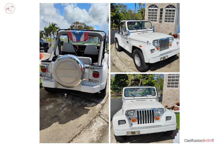 Jeep Renegade 1991 Special Edition