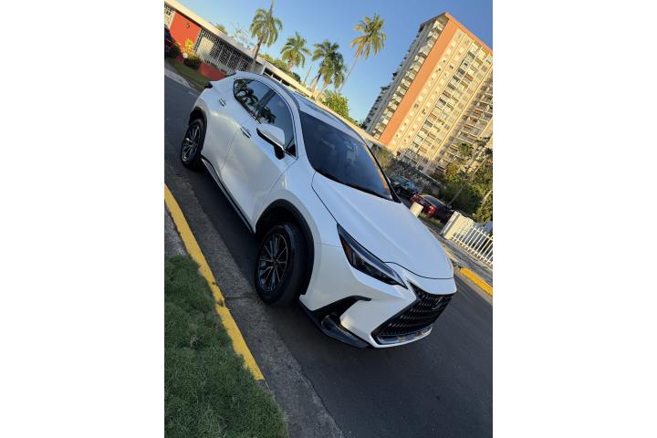 2024 Lexus NX 250