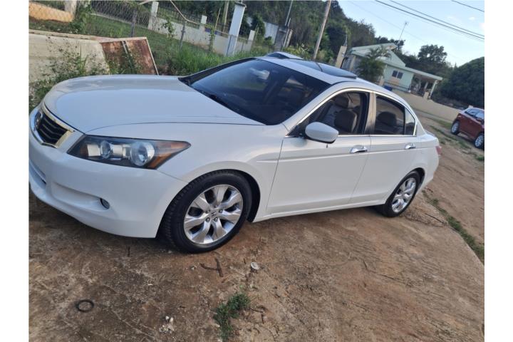 Honda Accord EX-L 2010