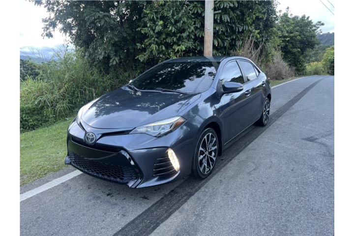 Toyota Corolla SE 2019